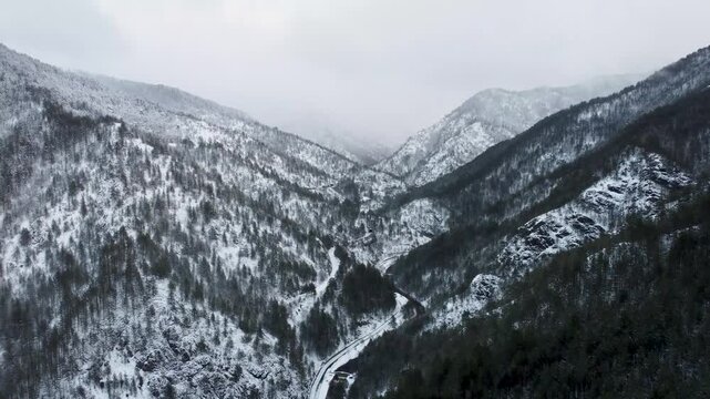 Mokra Gora. Tara Park. Unbelievable Black White Winter Landscape. Serbia