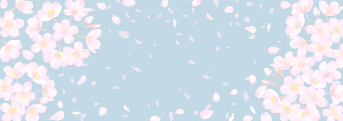 桜の花の横長背景イラスト