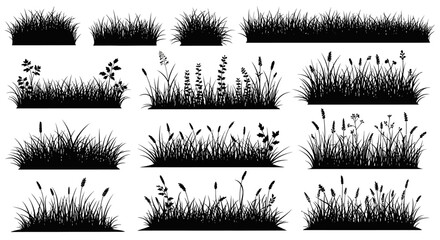 Diverse Collection of Black Grass Silhouettes on White Background © Nira