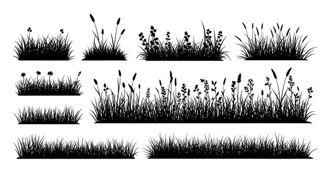 Collection of Silhouette Grasses and Wildflowers on White Background Vector Art