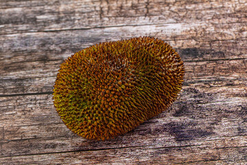 Whole tropical exotic ripe jackfruit
