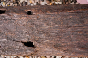 Bark of old tree texture. Abstract background and texture for design. Wood table