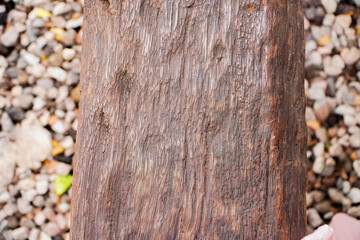 stack of firewood. Bark of old tree texture. Abstract background and texture for design. Wood Table