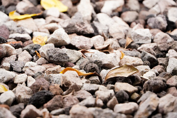 stones on the ground