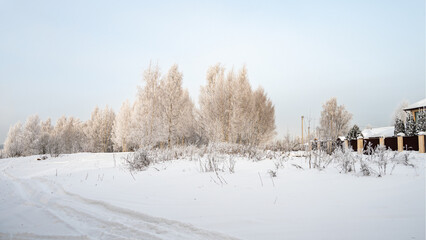 Obraz premium Snowmobile tracks near snow-covered trees on the edge of a village on a frosty winter day.