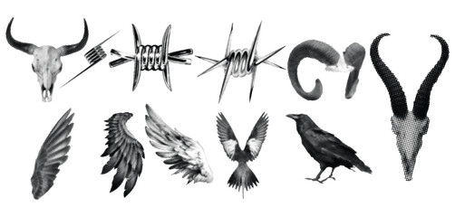 Haftoon Effect Skull Wing Barbed Symbol Illustration