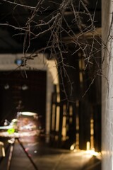 Eerie Atmosphere with Bare Branches and Shadowy Interior, Perfect for Halloween Concepts.