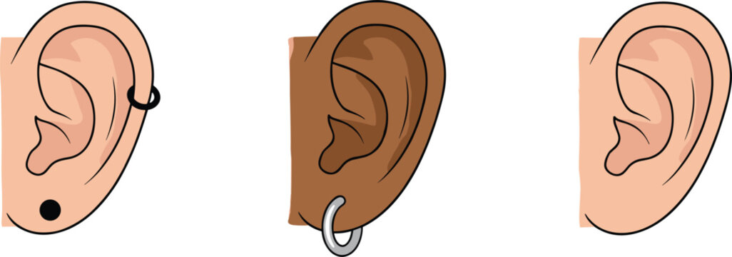 Human ear illustration set with different skin tones and piercings for anatomy diversity medical education vector design