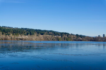 Morning walk at the park