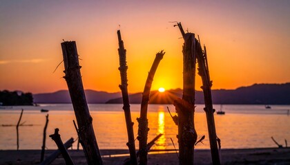 Silhouetted branches against a blazing sunset over water, distant hills visible