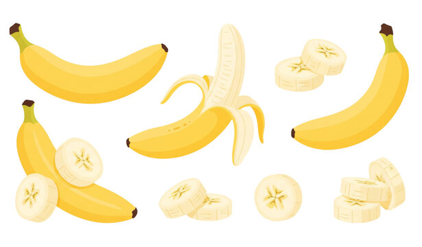 Fresh banana fruit vector illustration set with peeled and sliced bananas