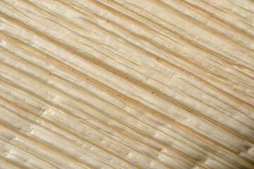 Textures of nature reveal beauty in layered stone patterns