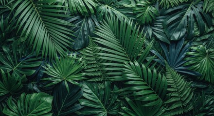 Lush tropical foliage with dark green palm leaves