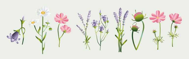 Fototapeta premium flower vectors collection