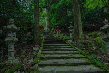 高住神社の参道