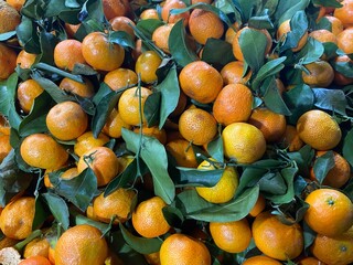 Fresh tangerines with stems and leaves, for sale at market.