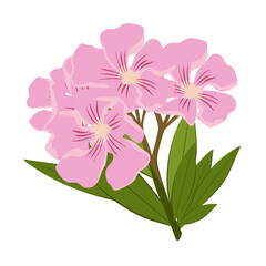 Obraz premium pink flower vector
