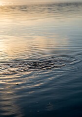 Ripples on a serene body of water catching the fading light of sunset