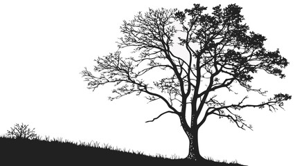 Obraz premium Silhouette of a Majestic Tree on a Hillside.
