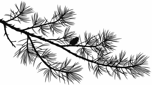 Silhouette of Pine Branch with Cone Natures Evergreen Detail.