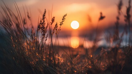 Serene Sunset Over a Tranquil Beach with Silhouetted Grass Blades, Emphasizing Nature's Beauty and Calmness for Perfect Evening Moments