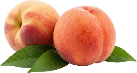 Two ripe fuzzy peaches with vibrant red and yellow blush showcasing their round shape and smooth texture accompanied by fresh green leaves fruit food healthy transparent background