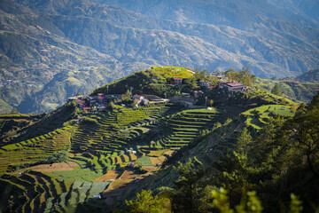 Terraced Farming Village on Mountain Hillside with Lush Green Landscape