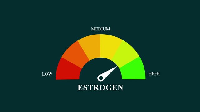 Animated estrogen level gauge moving from low to healthy normal level, digital presentation, medical indicator, hormonal balance, health monitoring. Motion graphics of mater level concept