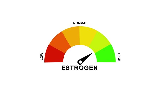 Animated estrogen level gauge moving from low to healthy normal level, digital presentation, medical indicator, hormonal balance, health monitoring. Motion graphics of mater level concept