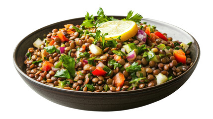 Lentil salad with fresh vegetables in bowl on isolated background food concept