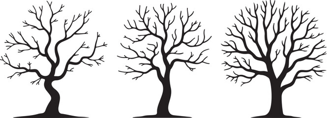 Obraz premium Bare Winter Tree Trio Silhouette