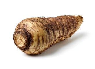 A large, raw, brown horseradish root on a white background