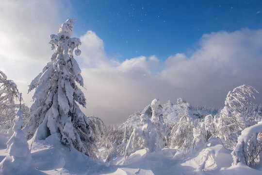 Winter snow-covered trees in the Ural mountains