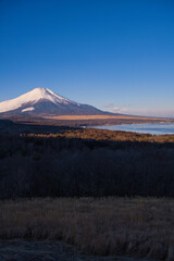 山中湖明神山パノラマ台から望む冠雪の富士山