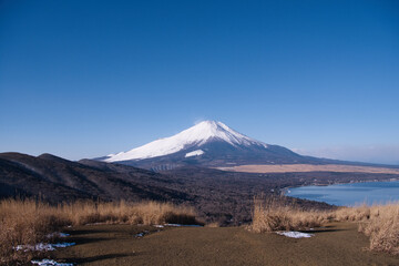 鉄砲木の頭から望む冠雪の富士山