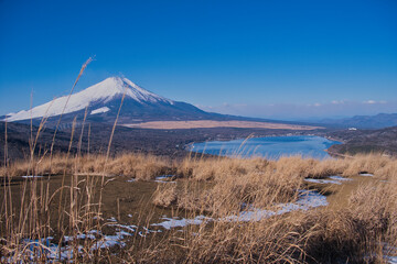鉄砲木の頭から望む冠雪の富士山