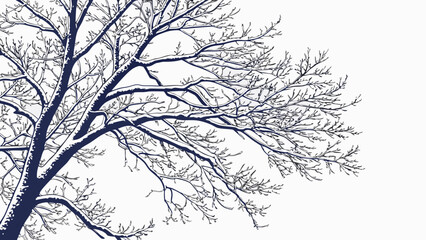 Fototapeta premium Winter Tree Branches Covered in Snow A Serene Seasonal Illustration.
