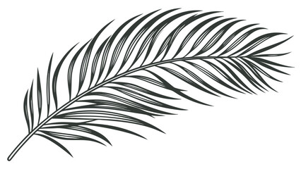 Fototapeta premium Elegant Palm Leaf Illustration A Detailed Botanical Drawing.