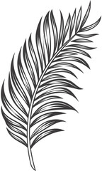 Obraz premium Elegant Palm Leaf Illustration for Botanical Designs and Tropical Themes.