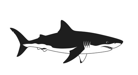 Obraz premium Graphic illustration of a black and white shark swimming in the ocean water graphic