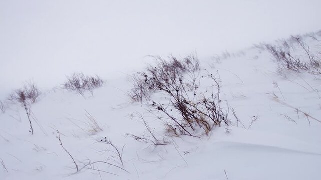 Southern Urals in winter: snowfall, snowstorm in the steppe.