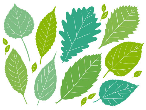 ぎざぎざはっぱのイラストセット