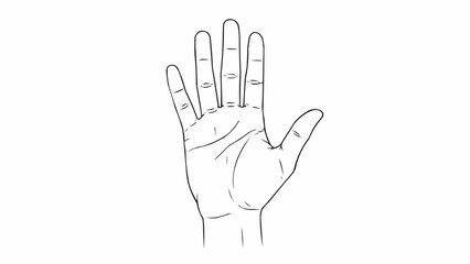 Fototapeta premium Detailed line drawing of a human hand showing five fingers and palm lines.