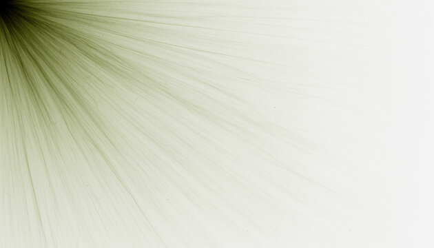 Radial Bloom of Pale Olive Green on Off-White. Soft Gradient Minimalist Backgrounds. A radial bloom of pale olive green radiating from the top-left corner.
