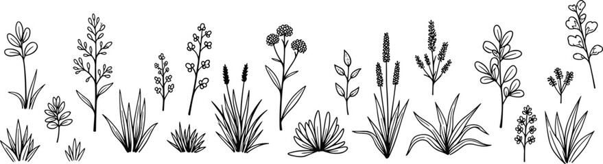 Set of hand-drawn black and white line art illustrations of various delicate wildflowers and grasses, isolated on white.