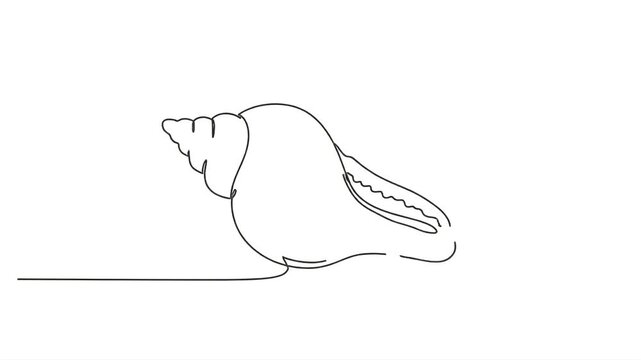 Conch Shell Tropical Marine Seashell Continuous Line Drawing Minimalist One Line Art Seashell Vector Illustration Animation