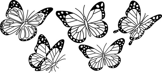 Butterfly Line Art Illustration Set for Coloring Pages and Nature Design © Putra