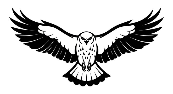 Soaring hawk silhouette black and white illustration with open wings