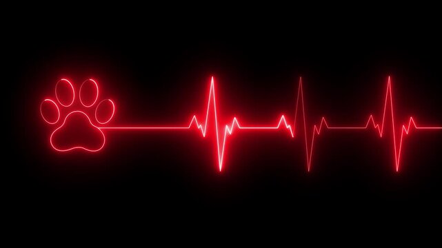glowing neon Dog Paw Print Heartbeat Line icon Veterinary Healthcare ECG. Heartbeat icon with Paw Print Symbolizing Animal Health and Care.  representing dedication in veterinary care and commitment.