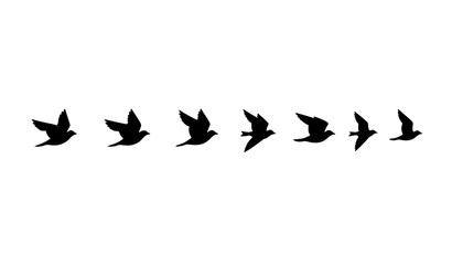 Obraz premium Bird flight motion silhouettes vector sequence with minimalist flying bird icons
